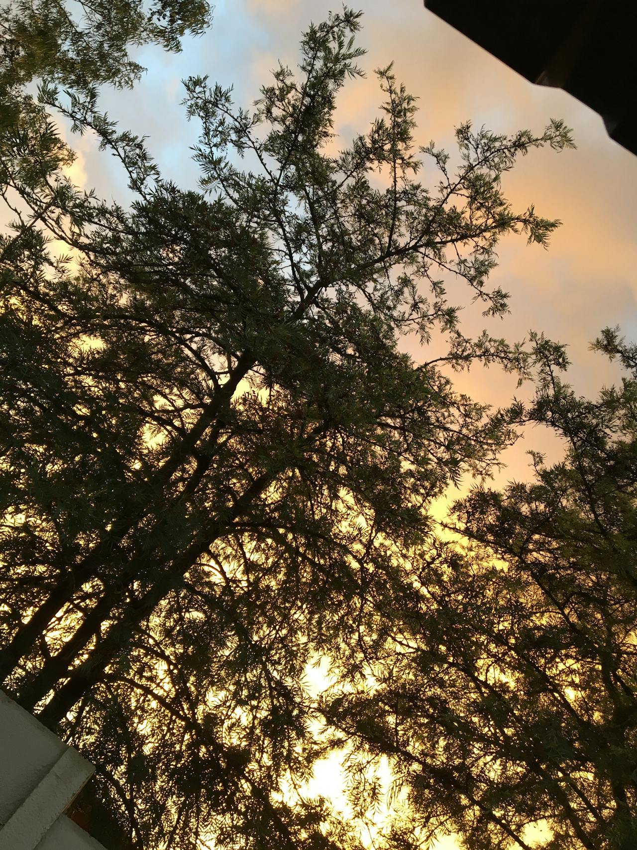 One-Line Integration